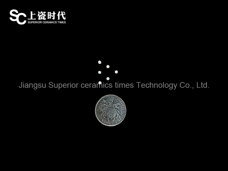 血管閉環(huán)器的陶瓷銷(xiāo)釘